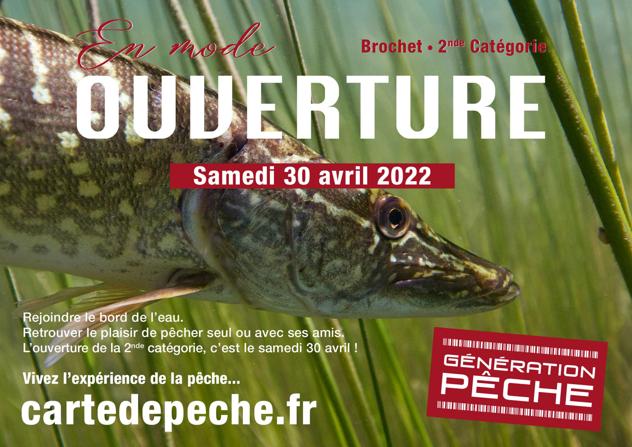 L'ouverture de la pêche du brochet en 2ème catégorie, c'est le samedi 30  avril 2022 - Fédération de Pêche de l'Allier