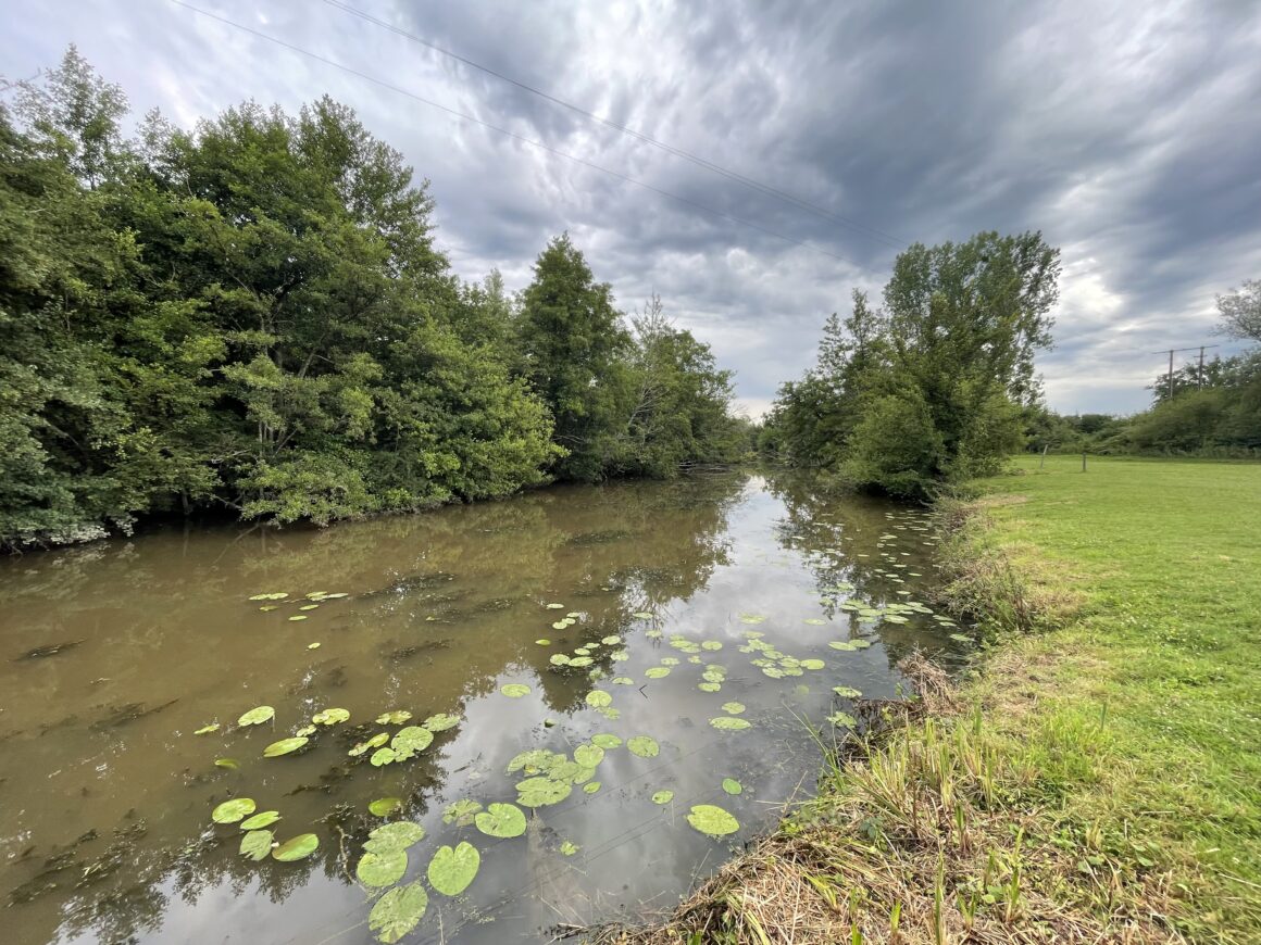 Pollution sur la rivière la Bieudre sur les communes de St Plaisir, Franchesse, Pouzy-Mésangy et le Veurdre