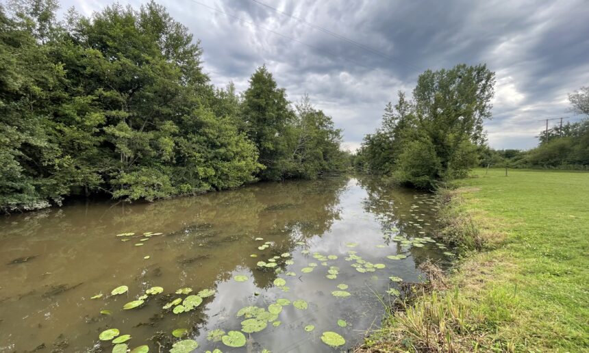 Pollution sur la rivière la Bieudre sur les communes de St Plaisir, Franchesse, Pouzy-Mésangy et le Veurdre