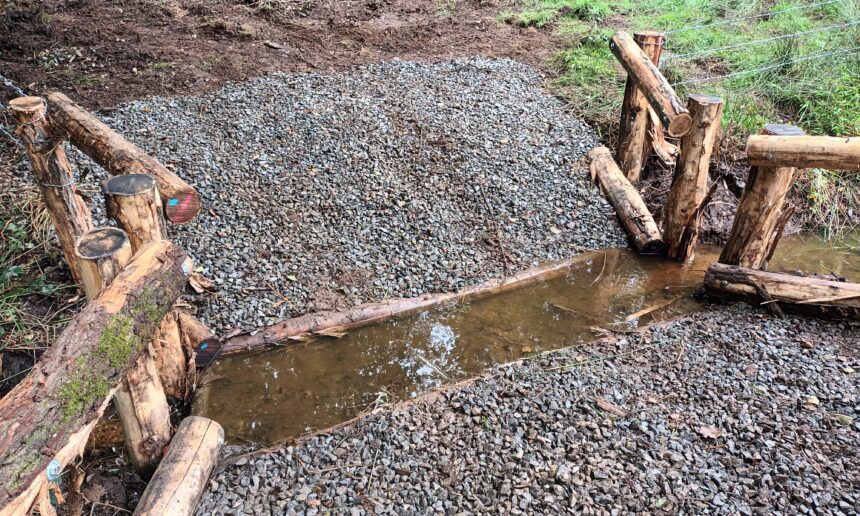 RESTAURATION DE LA TÊTE DE BASSIN VERSANT DU RUISSEAU DES MITS (2024)