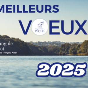 Bonne Année 2025 !